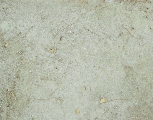 ModernStone Brick Wall