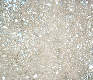 ModernGravel Ground