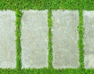 ModernGrass