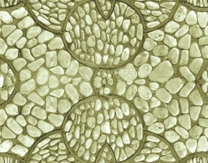 ModernStone Brick Wall