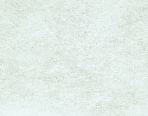 ModernStone Brick Wall