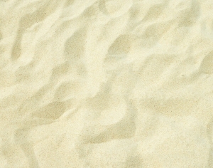 ModernStone Brick Wall