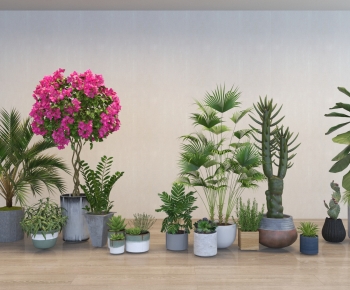 Modern Ground Green Plant Potted Plants-ID:187535055