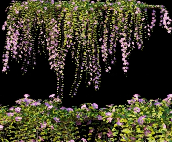 Modern Vine-ID:739002943