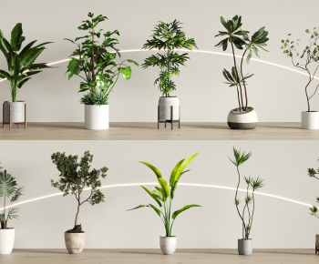 Modern Ground Green Plant Potted Plants-ID:984504944