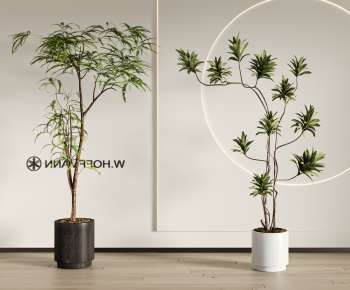 现代落地绿植盆栽组合-ID:117919422