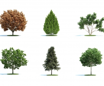 Modern Tree-ID:920133119