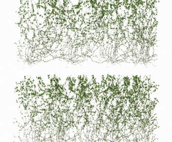 Modern Vine-ID:903996944