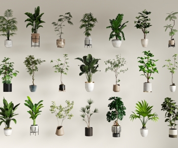 现代落地绿植盆栽组合-ID:363869738
