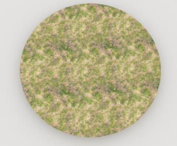 Modern The Grass-ID:369767908