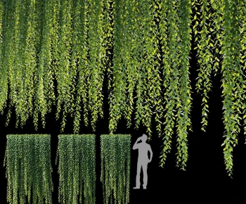 Modern Vine-ID:554258852