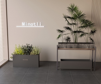 Modern Flower Bed, Flower Bowl, Flower Box-ID:223484997