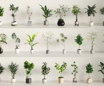 现代落地绿植盆栽组合-ID:629924063