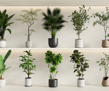 Modern Ground Green Plant Potted Plants-ID:434386011