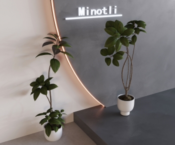 Modern Ground Green Plant Potted Plants-ID:565112116