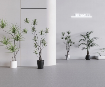 Modern Ground Green Plant Potted Plants-ID:418129058