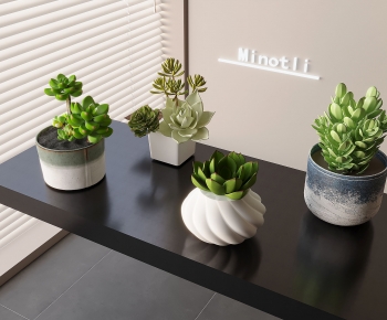 Modern Desktop Plant-ID:219075922