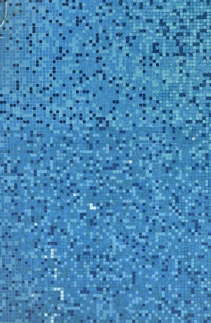 马赛克瓷砖-ID:278192045