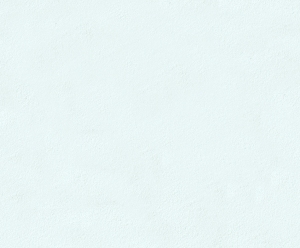 ModernStone Brick Wall