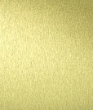 ModernBrushed Polishing