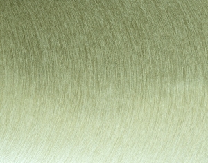 ModernBrushed Polishing