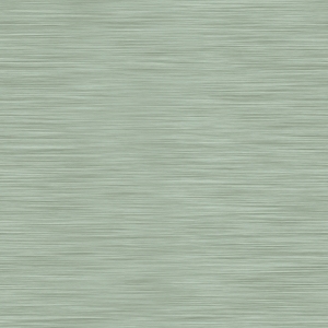 ModernBrushed Polishing