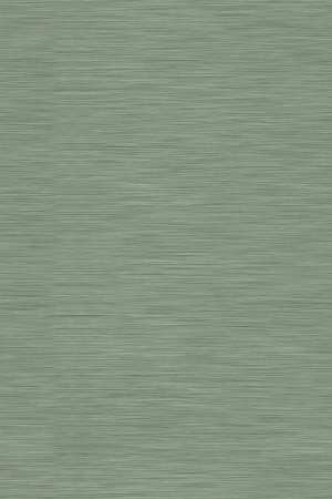 ModernBrushed Polishing