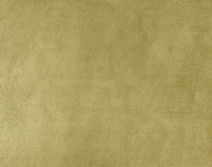 ModernBrushed Polishing