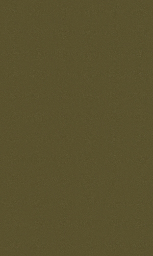 ModernBrushed Polishing