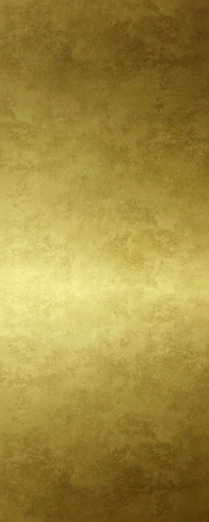 ModernBrushed Polishing