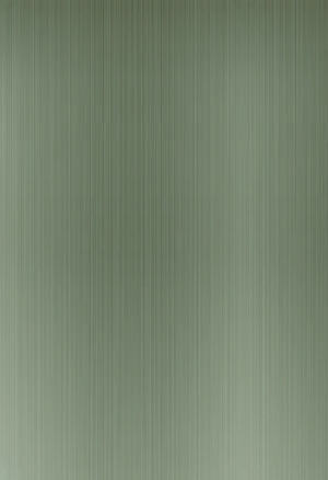 ModernBrushed Polishing