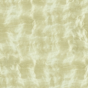 ModernBrushed Polishing