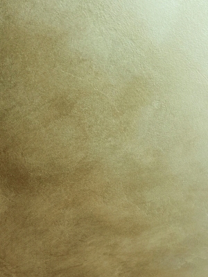 ModernBrushed Polishing