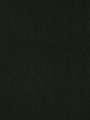 ModernBrushed Polishing