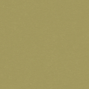 金箔-ID:589690283
