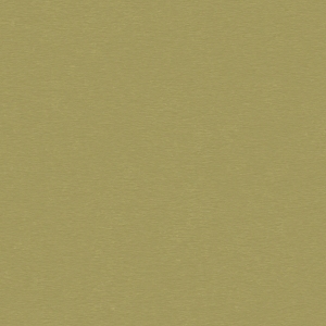 ModernGold Foil And Silver Foil