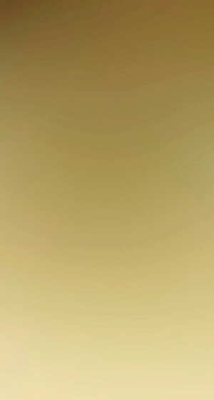 金箔-ID:506824973