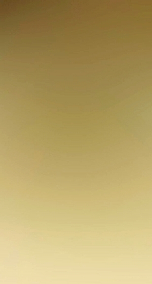 ModernGold Foil And Silver Foil