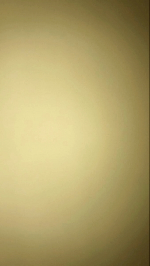金箔-ID:259326935