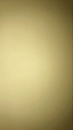 ModernGold Foil And Silver Foil