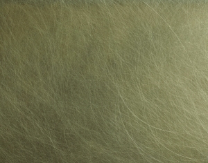 ModernBrushed Polishing