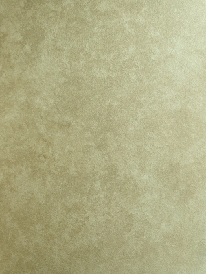 ModernBrushed Polishing