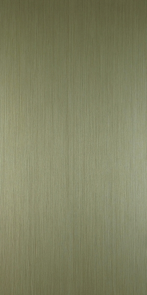 ModernBrushed Polishing