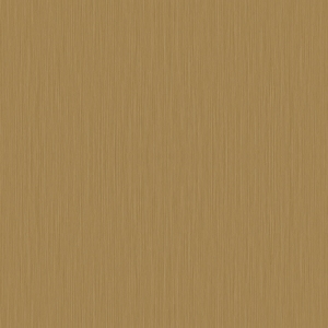 ModernBrushed Polishing