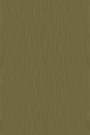 ModernBrushed Polishing