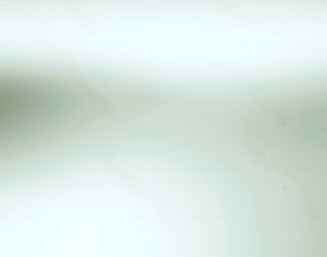 银箔-ID:491085054