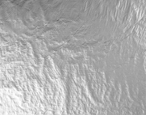 ModernGold Foil And Silver Foil