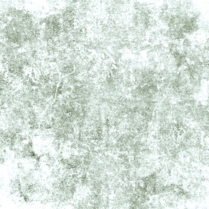 ModernBump Black And White