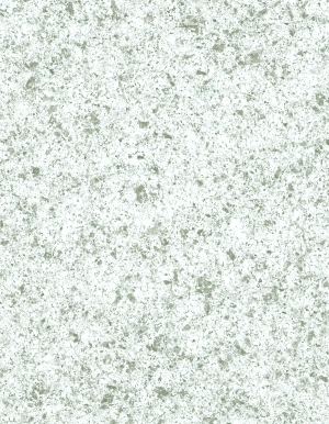 ModernBump Black And White