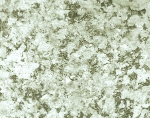 ModernBump Black And White